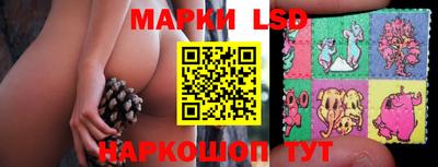 индика Краснокаменск