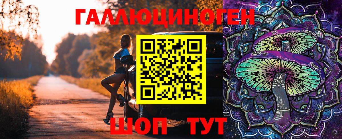 Псилоцибиновые грибы Psilocybe Гусиноозёрск