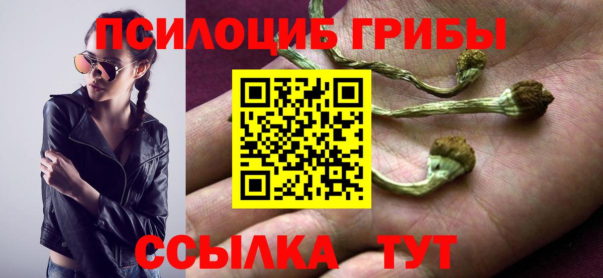 Гусиноозёрск  Галлюциногенные грибы прущие грибы  Вход с VPN  Галлюциногенные грибы MAGIC MUSHROOMS 